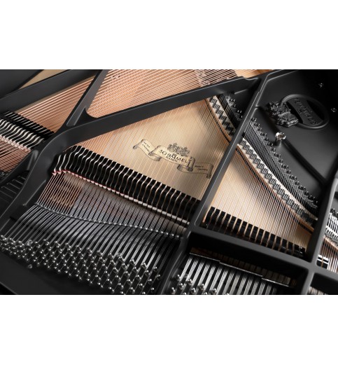 Schimmel Classic C169 Black Pearl